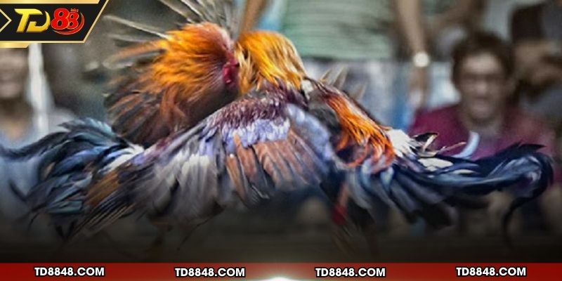 Các lợi ích khi tham gia giải trí trực tuyến