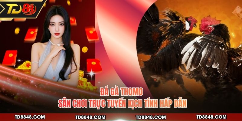 Đá Gà Thomo - Sân Chơi Trực Tuyến Kịch Tính Hấp Dẫn