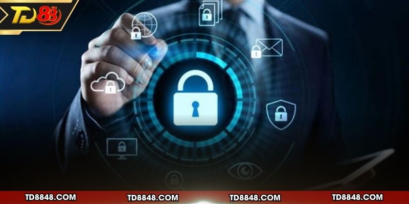 Danh sách quyền lợi hội viên đối với dữ liệu