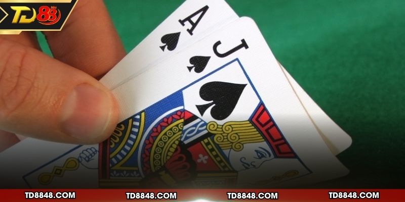 Ngũ linh có ăn được xì dách không