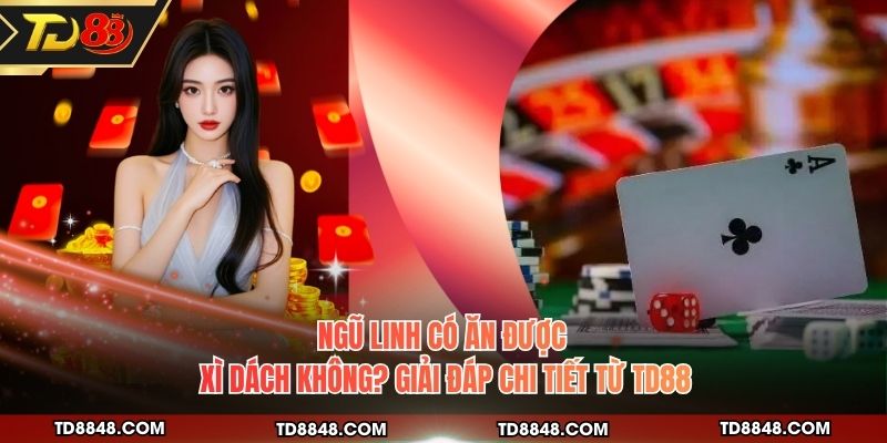 Ngũ Linh Có Ăn Được Xì Dách Không? Giải Đáp Chi Tiết Từ TD88