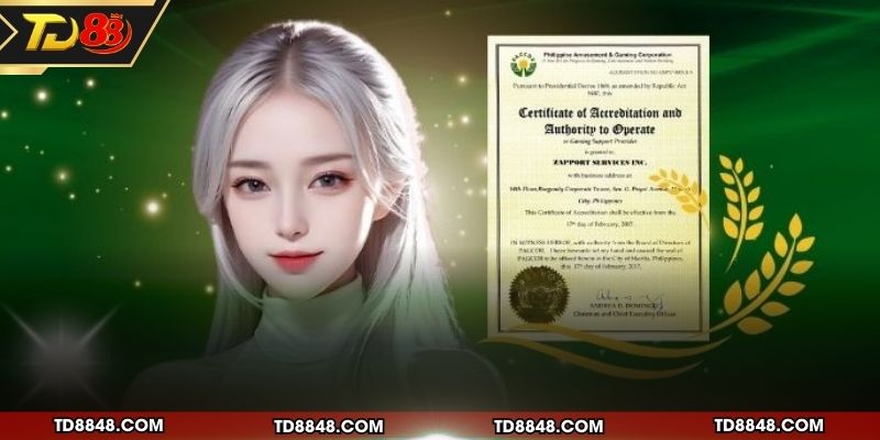 Tiêu chí đánh giá của giấy phép