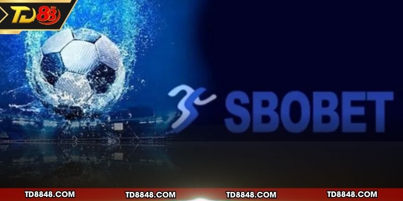Tổng quan về sảnh cược thể thao Sbobet uy tín